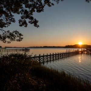 Photo #14 of 4375 WHITE TAIL LANE, MACHIPONGO, VA 341.0 acres