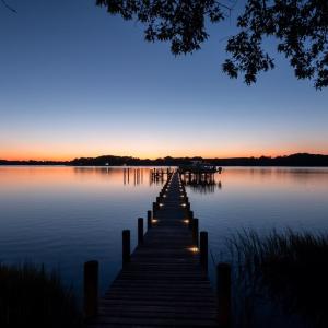 Photo #15 of 4375 WHITE TAIL LANE, MACHIPONGO, VA 341.0 acres