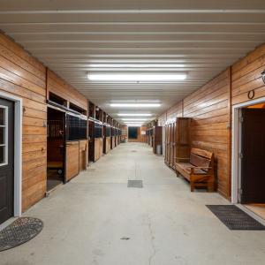 Photo #16 of 4375 WHITE TAIL LANE, MACHIPONGO, VA 341.0 acres