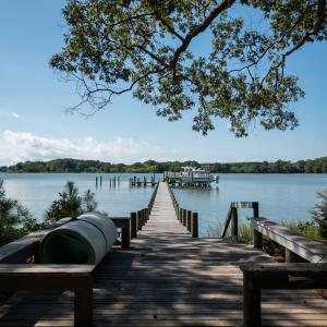 Photo #4 of 4375 WHITE TAIL LANE, MACHIPONGO, VA 341.0 acres