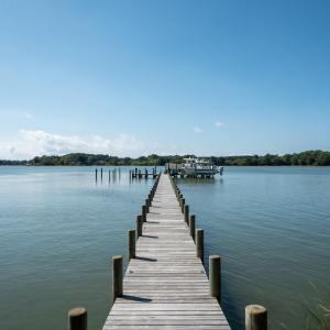 Photo #5 of 4375 WHITE TAIL LANE, MACHIPONGO, VA 341.0 acres