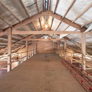 Photo #77 of 4375 WHITE TAIL LANE, MACHIPONGO, VA 341.0 acres