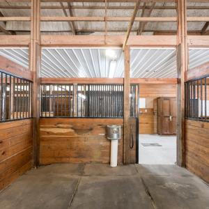 Photo #79 of 4375 WHITE TAIL LANE, MACHIPONGO, VA 341.0 acres