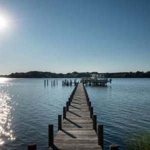 Photo #8 of 4375 WHITE TAIL LANE, MACHIPONGO, VA 341.0 acres