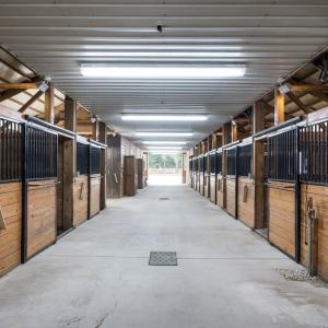 Photo #80 of 4375 WHITE TAIL LANE, MACHIPONGO, VA 341.0 acres