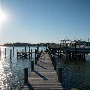 Photo #9 of 4375 WHITE TAIL LANE, MACHIPONGO, VA 341.0 acres