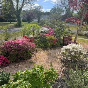 Photo #2 of 18298 CASSATT AVE, PARKSLEY, VA 0.4 acres