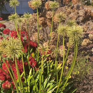 Photo #28 of 8402 SEASIDE RD, NASSAWADOX, VA 17.5 acres