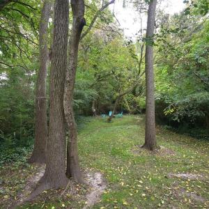 Photo #13 of 22 JOHNSON STREET, ONANCOCK, VA 0.2 acres