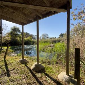 Photo #32 of 5160 MALLARD POND, CHINCOTEAGUE, VA 15.0 acres