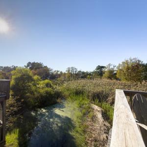 Photo #30 of 5160 MALLARD POND, CHINCOTEAGUE, VA 15.0 acres