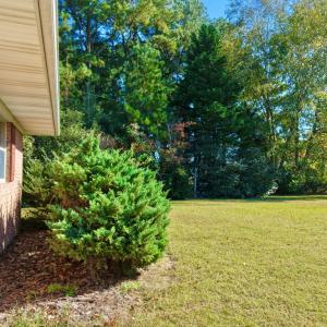 Photo #18 of 18095 PLANTATION RD, ONANCOCK, VA 3.1 acres