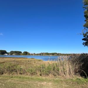 Photo #74 of 18095 PLANTATION RD, ONANCOCK, VA 3.1 acres