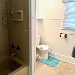 Photo #15 of 11129 LANKFORD HWY, TEMPERANCEVILLE, VA 0.2 acres