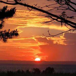 Photo #20 of 5169 WINDER LN, CHINCOTEAGUE, VA 0.9 acres