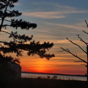 Photo #21 of 5169 WINDER LN, CHINCOTEAGUE, VA 0.9 acres