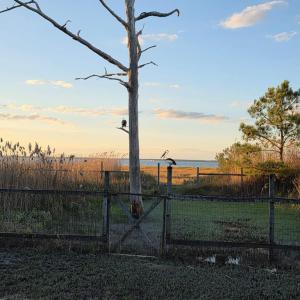 Photo #13 of 5169 WINDER LN, CHINCOTEAGUE, VA 0.9 acres