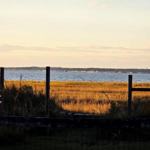 Photo #19 of 5169 WINDER LN, CHINCOTEAGUE, VA 0.9 acres