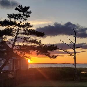 Photo #20 of 5169 WINDER LN, CHINCOTEAGUE, VA 0.9 acres