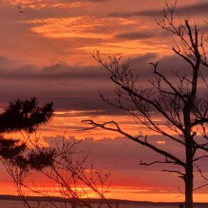 Photo #23 of 5169 WINDER LN, CHINCOTEAGUE, VA 0.9 acres