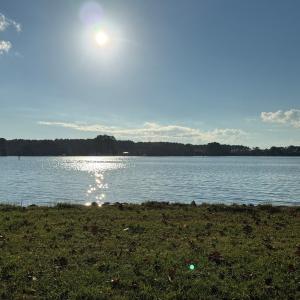 Photo #27 of 16422 WANDERERS PORT LANE, ONANCOCK, VA 1.8 acres