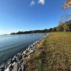 Photo #29 of 16422 WANDERERS PORT LANE, ONANCOCK, VA 1.8 acres