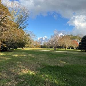 Photo #26 of 16422 WANDERERS PORT LANE, ONANCOCK, VA 1.8 acres