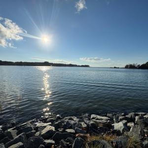 Photo #30 of 16422 WANDERERS PORT LANE, ONANCOCK, VA 1.8 acres