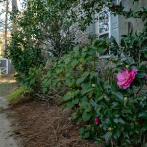 Photo #8 of 7225 KELLAM DR, EXMORE, VA 0.4 acres