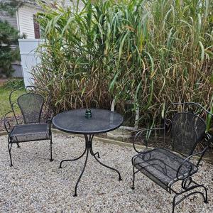 Photo #24 of 3184 MERIDIAN DR, GREENBACKVILLE, VA 9,750.0 acres