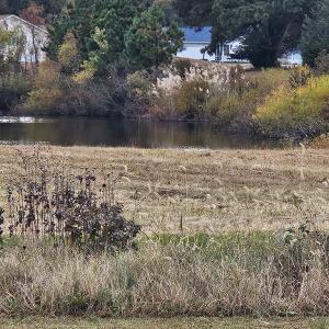 Photo #30 of 3184 MERIDIAN DR, GREENBACKVILLE, VA 9,750.0 acres