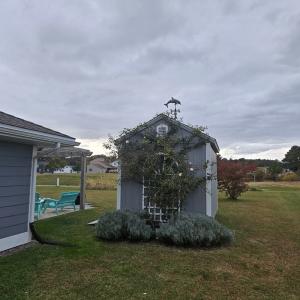 Photo #22 of 3184 MERIDIAN DR, GREENBACKVILLE, VA 9,750.0 acres