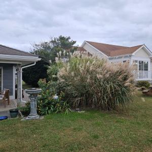 Photo #24 of 3184 MERIDIAN DR, GREENBACKVILLE, VA 9,750.0 acres