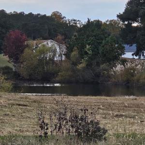 Photo #28 of 3184 MERIDIAN DR, GREENBACKVILLE, VA 9,750.0 acres