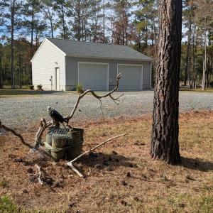 Photo #25 of 30298 HOLLY SHORES LN, HACKSNECK, VA 10.8 acres