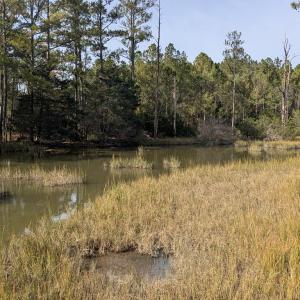 Photo #29 of 30298 HOLLY SHORES LN, HACKSNECK, VA 10.8 acres