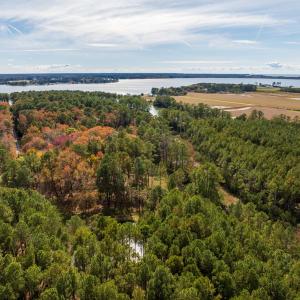 Photo #9 of 30298 HOLLY SHORES LN, HACKSNECK, VA 10.8 acres