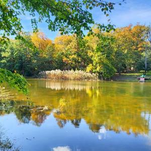 Photo #30 of 3789 CAPTAINS CORRIDOR, GREENBACKVILLE, VA 0.4 acres