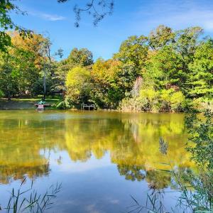 Photo #31 of 3789 CAPTAINS CORRIDOR, GREENBACKVILLE, VA 0.4 acres