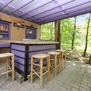 Photo #28 of 3789 CAPTAINS CORRIDOR, GREENBACKVILLE, VA 0.4 acres