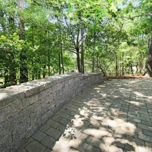 Photo #29 of 3789 CAPTAINS CORRIDOR, GREENBACKVILLE, VA 0.4 acres