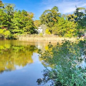 Photo #32 of 3789 CAPTAINS CORRIDOR, GREENBACKVILLE, VA 0.4 acres