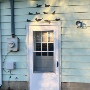 Photo #25 of 6 WEST ST, WACHAPREAGUE, VA 0.1 acres