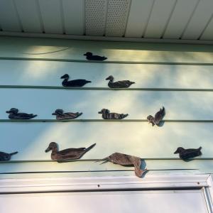 Door ducks, These darling ducks have been around as long as the home has: A "quack" reminder of the stories, seasons and smiles that have passed beneath their watch.