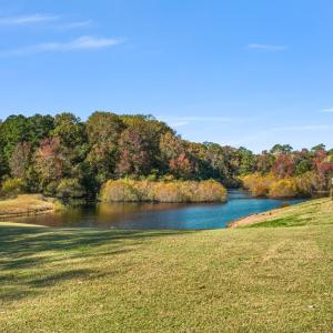 Photo #52 of 36368 CORBIN HALL LN, HORNTOWN, VA 3.4 acres