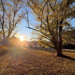 Photo #43 of 9333 RED BANK RD, NASSAWADOX, VA 1.3 acres