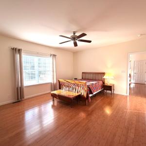 Downstairs bedroom