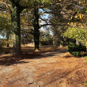 Beautiful grounds