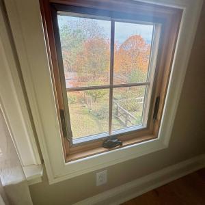 From bedroom window to the back yard