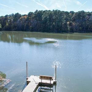 Photo #5 of 27520 ALLURE WAY, CAPE CHARLES, VA 5.0 acres